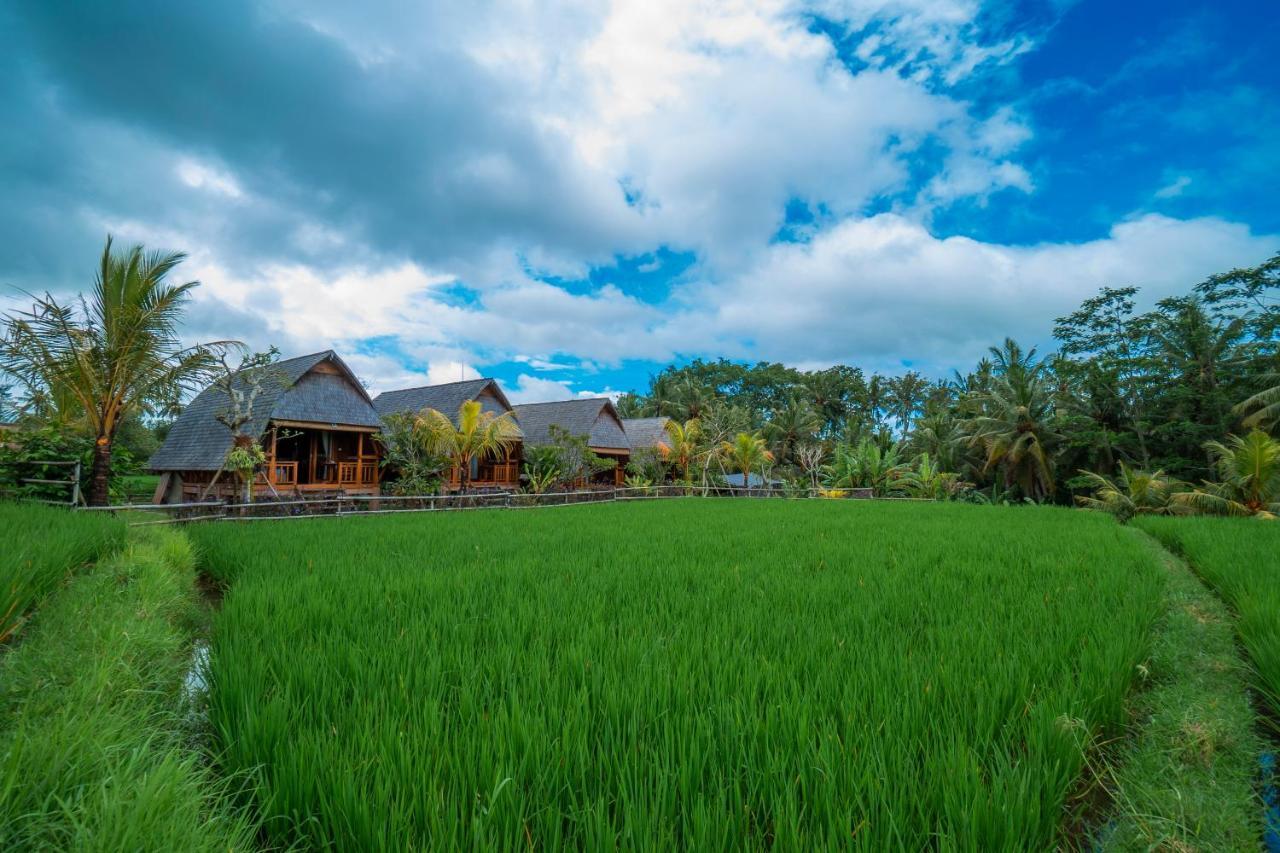 Pb Pondok Gandalangu Garden House Bali Ubud Zewnętrze zdjęcie