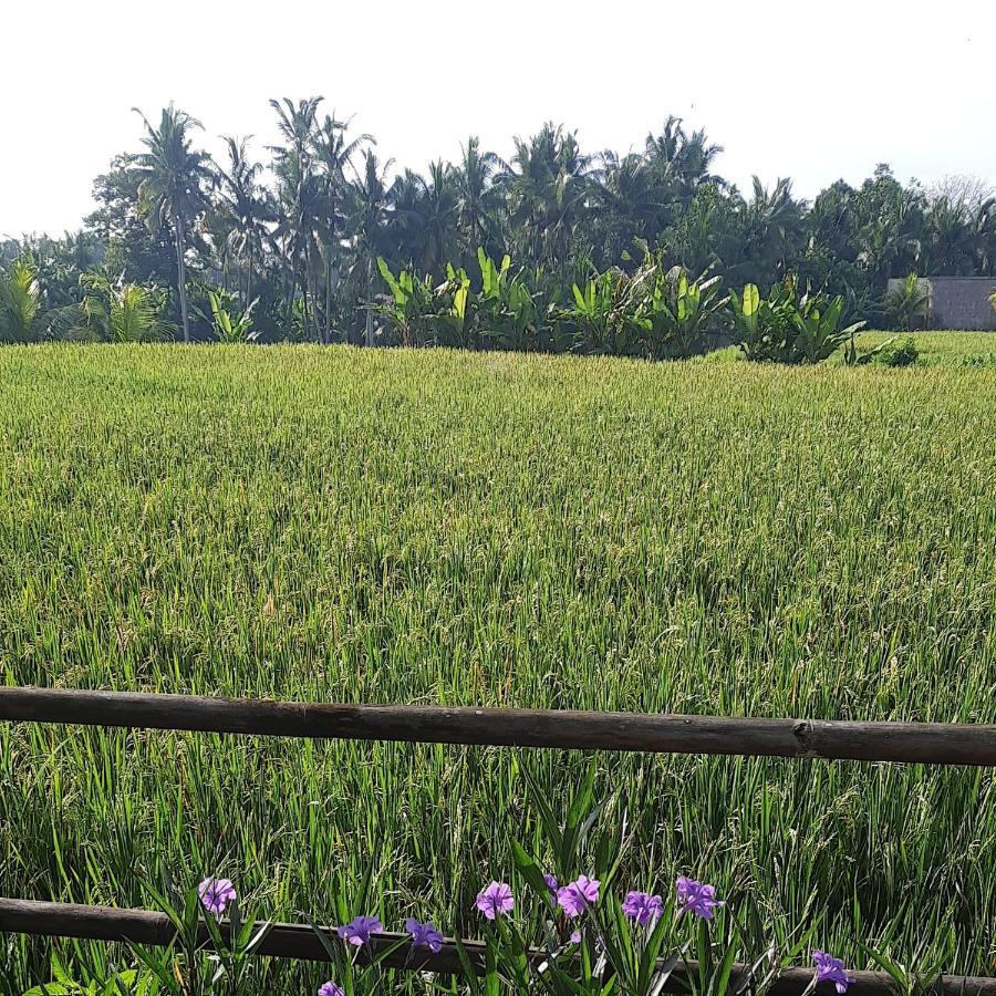 Pb Pondok Gandalangu Garden House Bali Ubud Zewnętrze zdjęcie